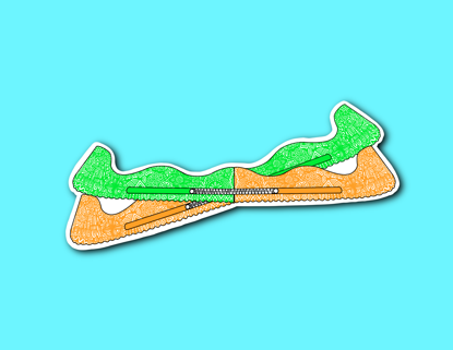 Picture of Green and Orange Skate Guards Sticker